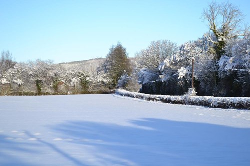 Winter scene