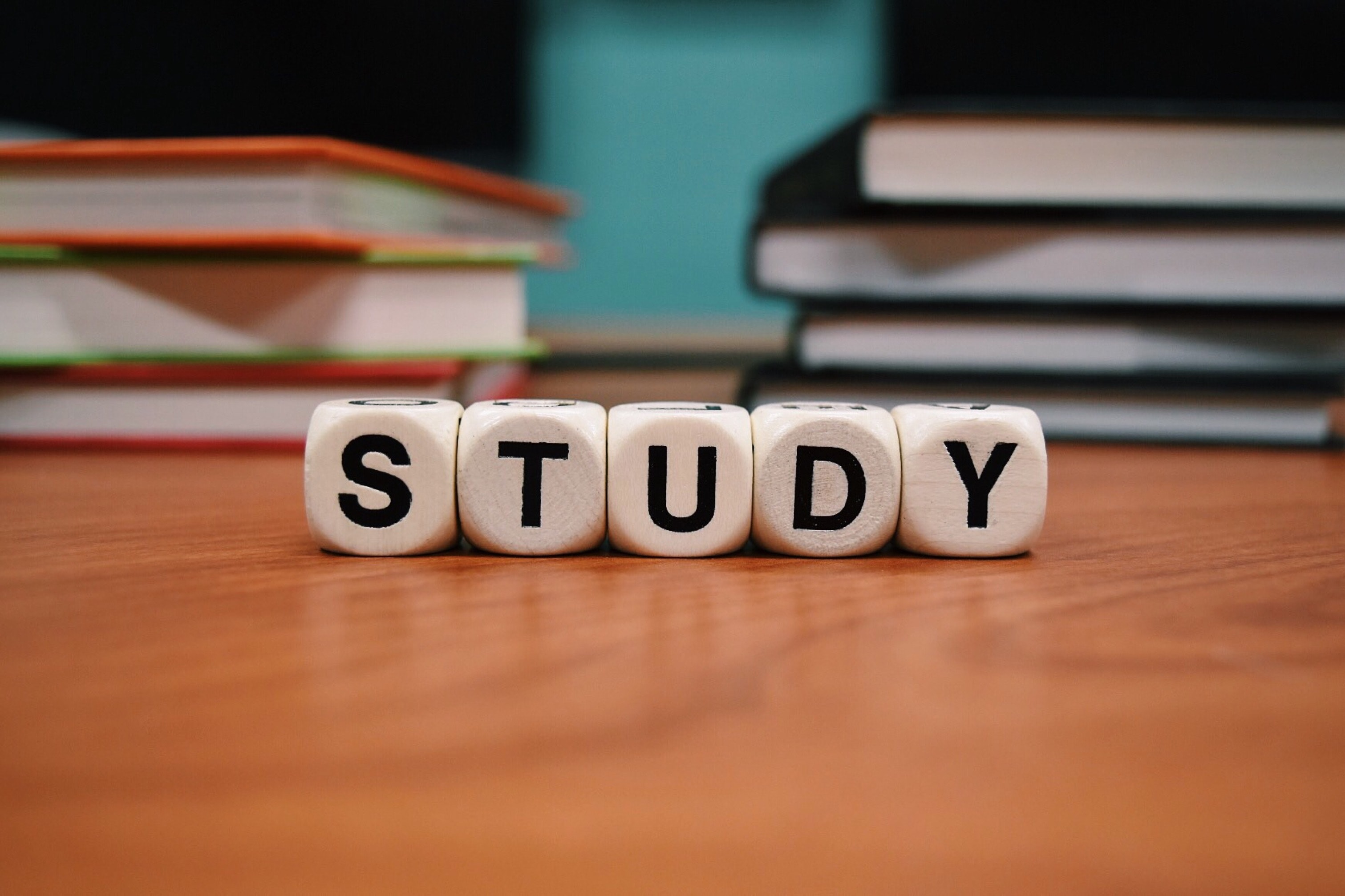 Blocks spelling out the word study