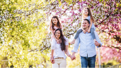 Family walking amongst blossom